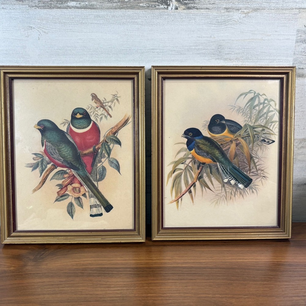 JOHN GOULD Antique Lithograph Birds Trogon Elegans & Trogon Mexicanus Hand Paint